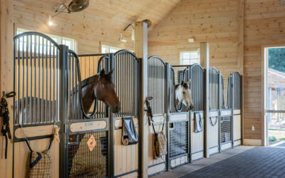 What is the Best Way to Clean a Horse Stall?