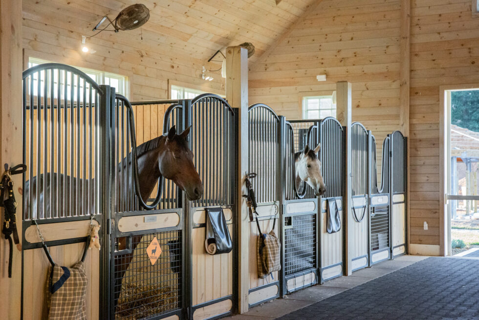 What is the Best Way to Clean a Horse Stall?