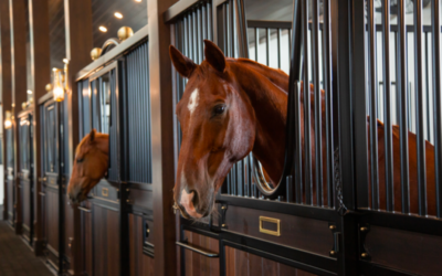 5 Tips for Selecting Stall Fronts and Doors