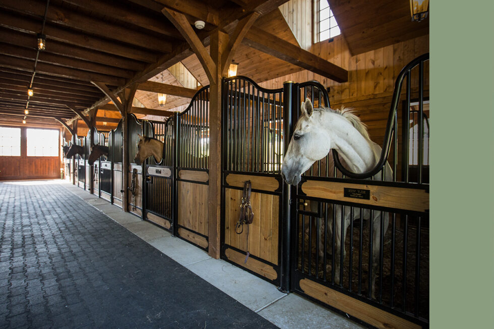 Horse Stalls 2022 Landing Page Blackwood Equestrian Stalls