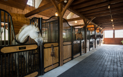 Custom Horse Stall Design: The Top 3 Things to Consider