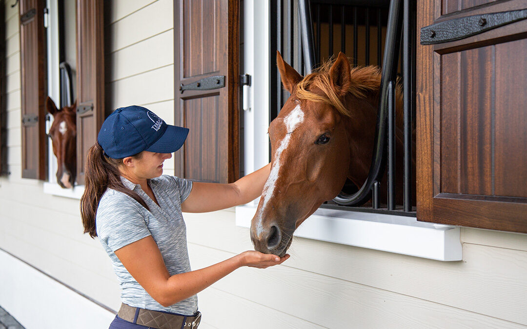 Horse Stall Windows Blackwood Equestrian Stalls