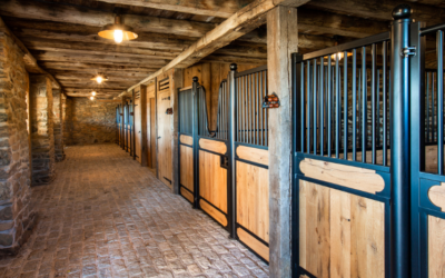 6 Ways to Protect Your Horse Barn Against Termites